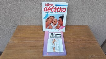 Porcelán cibulák,knihy ,měřáky. - 2