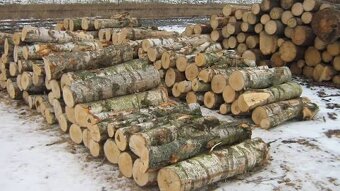 Palivové dříví - 2