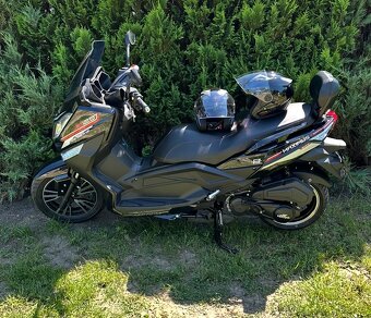 KENTOYA Maximus, Torax - 2