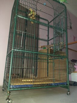 Klec pro papouška - 2