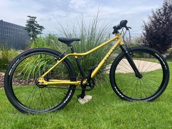 Horské kolo Rascal 24” Sturmer Archer 5s gold zlatá UNI - 2
