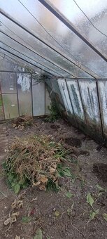 Prodám skleník - 2