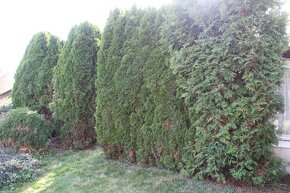 Služby pro chataře a chalupáře - 2