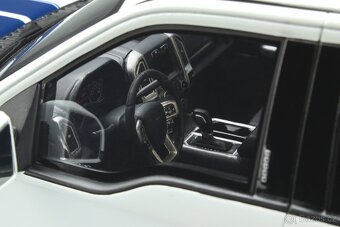 FORD SHELBY F150 SUPER SNAKE - 2