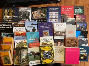 supervize,Morální dilema,listnaté stromy,Kmeny,Duchovní píse - 2