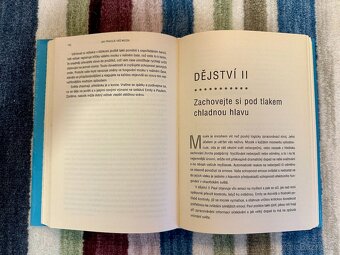 Jak pracuje váš mozek – David Rock (velmi dobrý stav) - 2