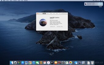 iMac 24", 2008, C2D, ATI, 4/256 GB SSD, OS Catalina - 2