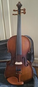Viola - 2