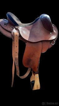 Australian half breed - 2