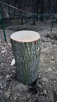 Špalek na štípaní - 2