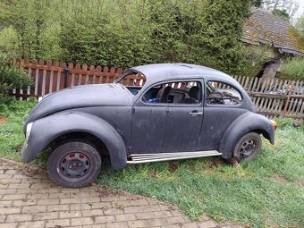 VW Brouk - 2