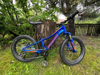 Specialized dětské kolo 20/115-130 - 2
