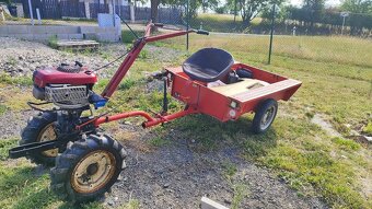 Vari Tera, Briggs & Stratton Motor Intek Pro 65 - 2
