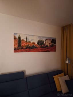 Obraz na plátně - 2