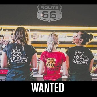 servírka - číšník - 2