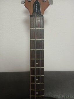 Kytara EPIPHONE P3-200 NS - 2