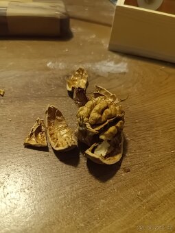 Vlašské ořechy - 2