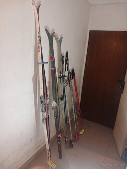 Běžky Artis Polar - 2