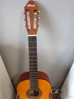 Kytara elektroakustická - 2