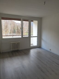 Prodej bytu 4+1/L, Ústí nad Labem - Mojžíř - 2