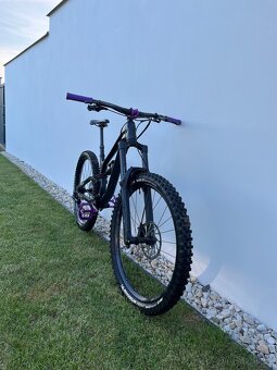 Canyon Torque WMN AL 6.0 - 2