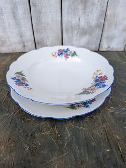 2ks vintage talíře, Alpeflora, zn.Altrohlau MZ. - 2