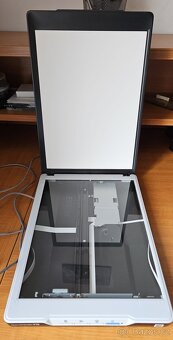 Scanner Epson Perfection V19 - 2