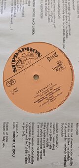 Laboratoř - LP - 2