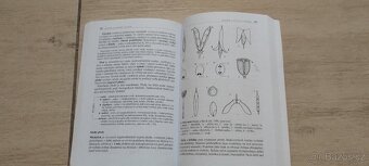 Biologie rostlin pro gymnázia - 2