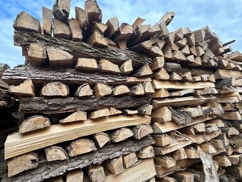 Palivové dřevo tvrdé - 2