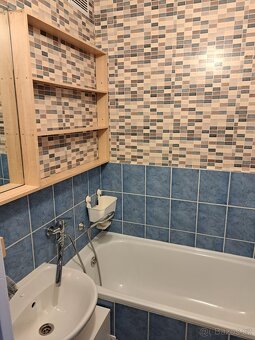 Pronájem bytu 4+1 - 2