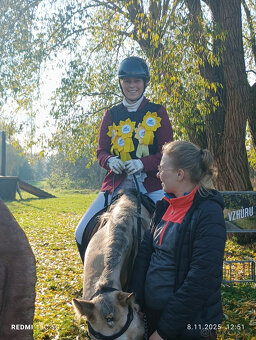 PRODÁM, NEBO PRONAJMU VYHRÁVAJÍCÍHO, ÚŽASNÉHO KONÍKA - 2