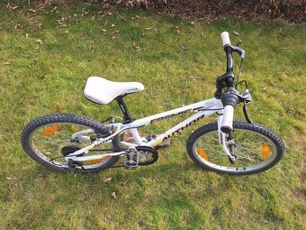 Author Cosmic 20 - 2