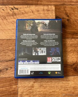 Hra Sony PS4: Days Gone - 2