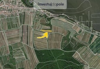 Prodej vinice v k.ú. Dolní Věstonice - 2