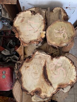 Akátové / jasanové Koláče , příčné rezy - 2