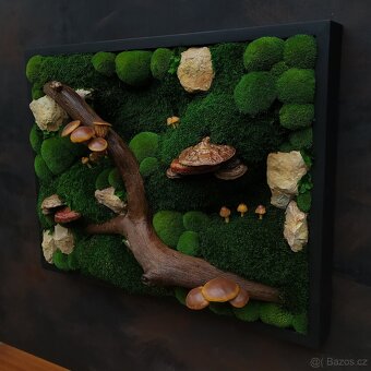 Mechový obraz / obraz ze stabilizovaného mechu - 2