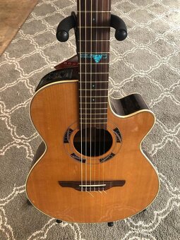 Takamine DSF 65 C Santa Fe - 2