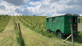 Glampingový projekt - 2