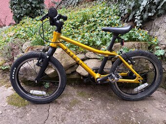 Kolo Rascal 16 Zlaté - 2