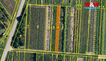 Prodej vinice, 400 m², Moravský Žižkov - 2