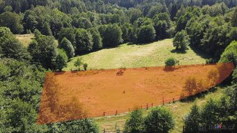Prodej pozemku 3 118 m2 - Olešnice v Orlických horách - 2