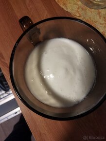 Tibetská houba na kefír - 2