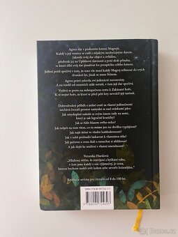 Agnes a Zakázaná hora - 2