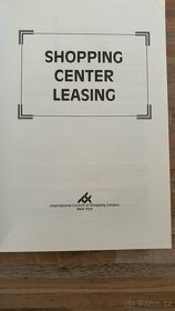 Shopping Center Leasing - 2