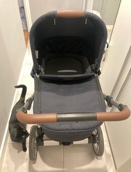 Abc Design CONDOR - 2