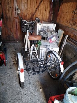 Tříkolka Leader Fox Bormio - 2