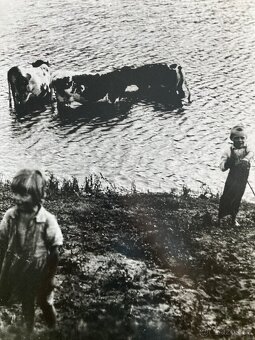 Irena Blühová - Najmladší pastier kráv - 2