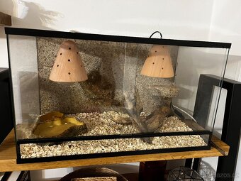 Terárium 60/30/35 - 2