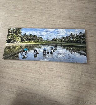 Obraz 120x50cm - 2